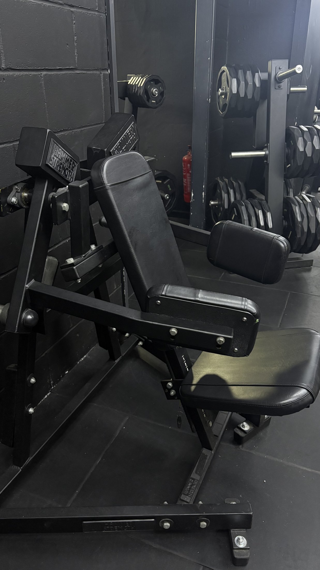 Selectorised seated machine with dumbbell rack behind
