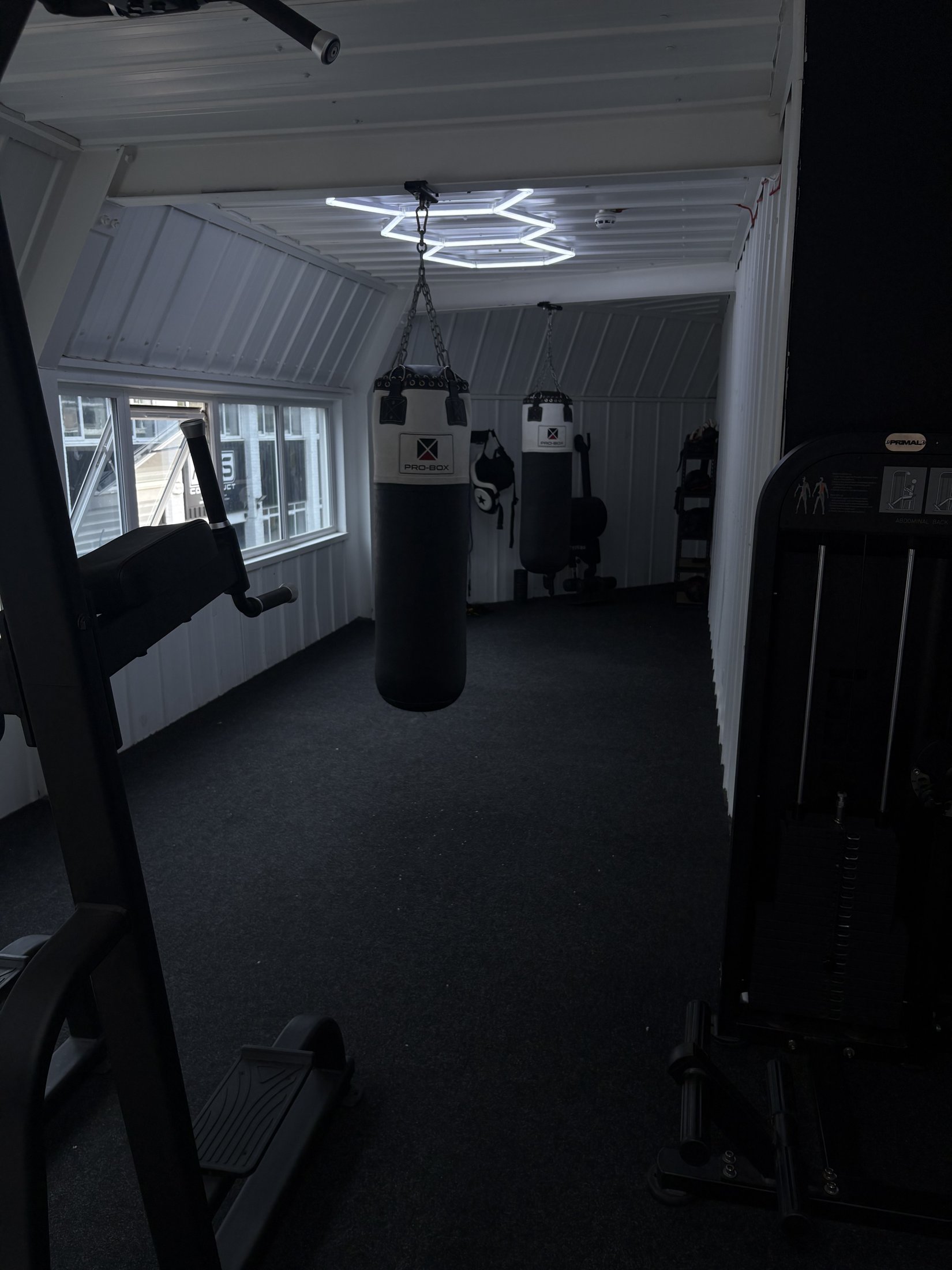 Boxing area with Pro-Box punch bags and white cladding under hexagonal lights